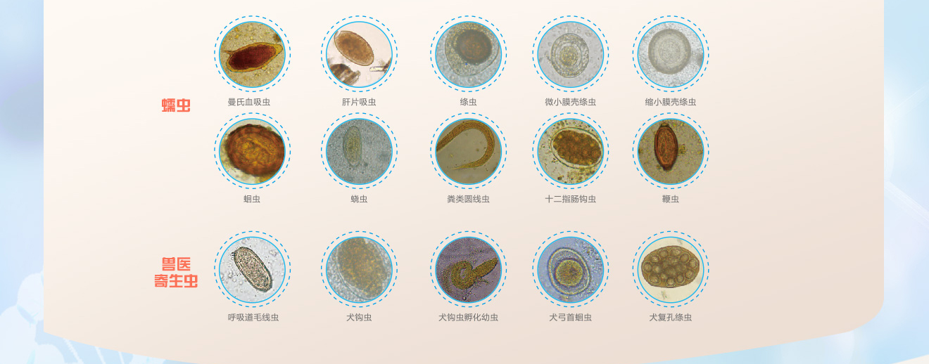 天开康03液基细胞试剂盒,寄生虫试剂盒,寄生虫检